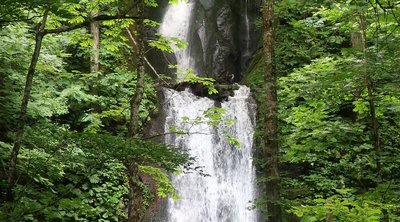 🏞️ 구모이노타키 폭포 이미지 2